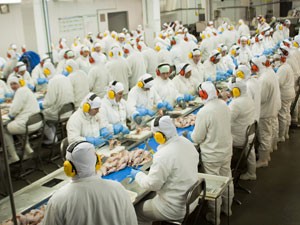 Operação de aves e suínos da Marfrig foi adquirida pela JBS (Foto: Divulgação)